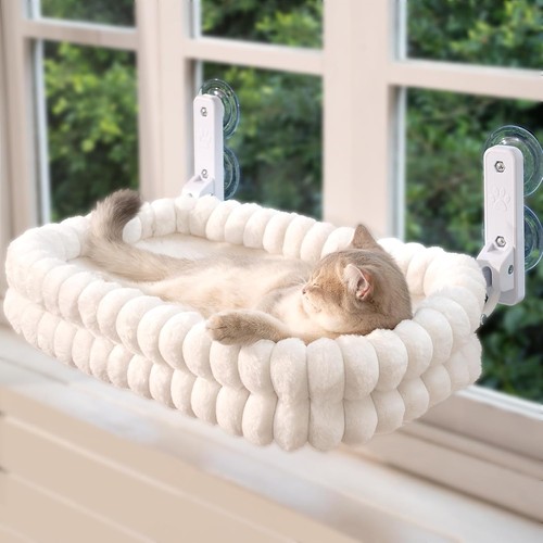 Katzen fensterliege - katzen,